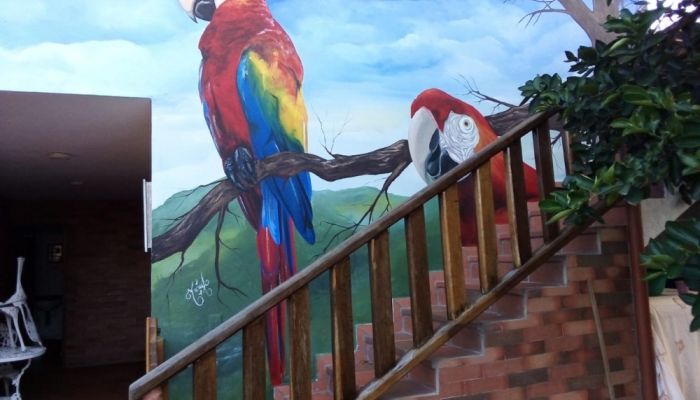 11 HOTEL CHINACOTA